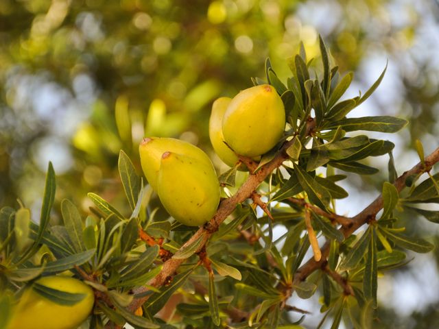 Fluege Agadir in Marokko