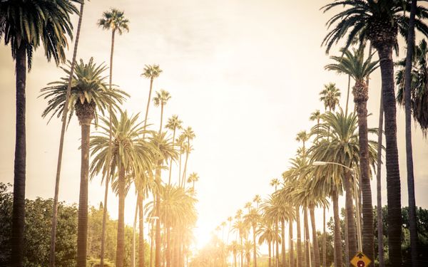 Fluege Los Aangeles - Beverly Hills entdecken