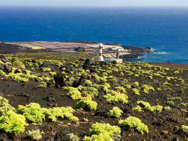 El Faro auf La Palma