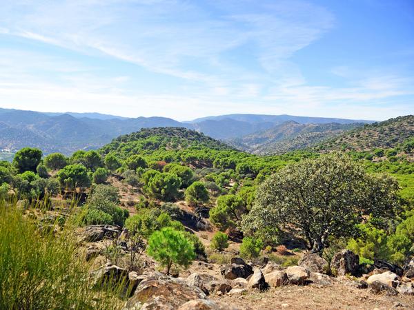 Andújar - liegt am Fuße der Sierra Morena und ist bekannt für ihren Naturpark, die Sierra de Andújar, die ein wichtiges mediterranes Ökosystem mit Eichenwäldern und einer vielfältigen Tierwelt