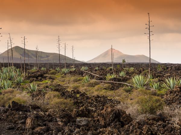 Timanfaya Nationalpark auf Lanzarote