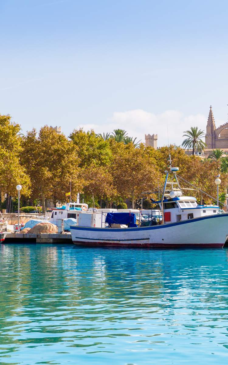 Flüge nach Mallorca Ende März könnten vom Streik betroffen sein.